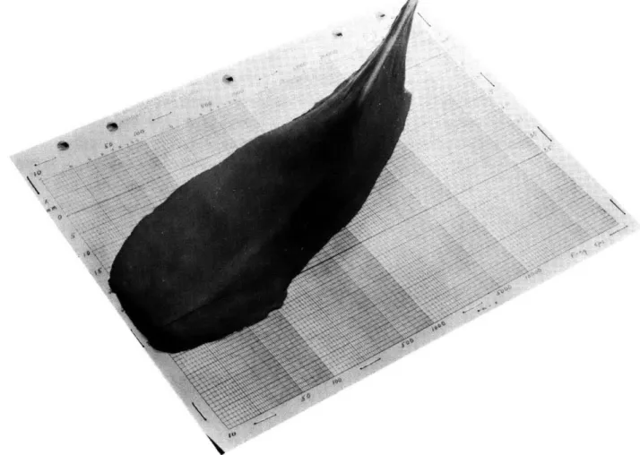 Fig.  VIII-14  Model  of  the  surface  generated  by  the  response  curves  of the  cochlea.