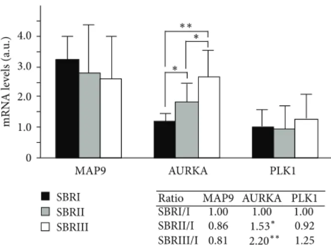 Figure 2: MAP9, AURKA, and PLK1 mRNA levels in ductal breast cancer. The mRNA levels were measured by real-time PCR from RT-PCR reactions of 77 ductal breast tumors