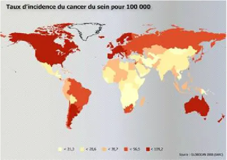 Figure 5: Taux d'incidence du cancer du sein dans le monde. 18 