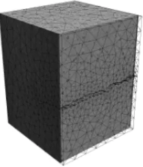 FIG. 1. Nodular graphite cast iron sample and superimposed fine mesh. The sample is in its reference state for a 12 N tensile load