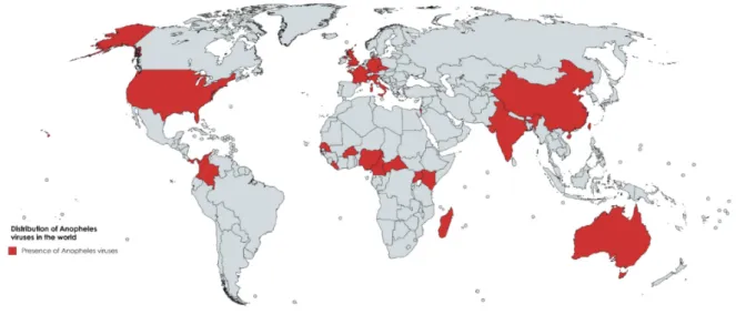 Figure 1. Global distribution of reported Anopheles viruses by country (red, countries with viruses in Anopheles).