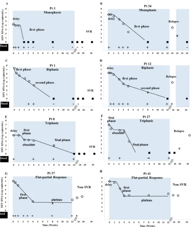 Figure 1. Four identified plasma HEV RNA kinetic patterns during ribavirin monotherapy