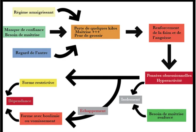 Figure 2:Mécanisme de l'anorexie nerveuse [13] 