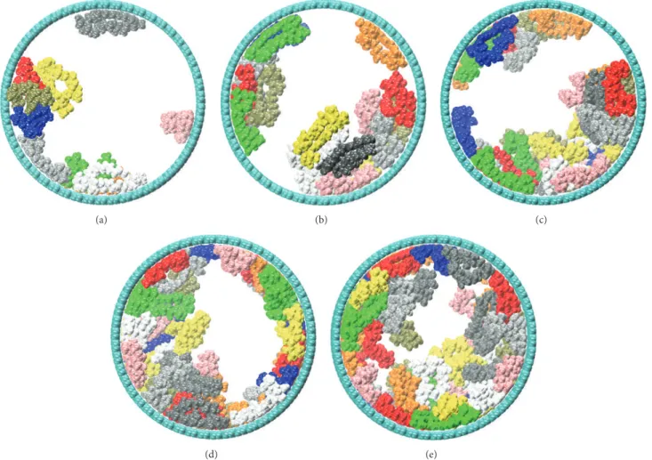 Figure 4: Snapshots of the simulation at (a) 30 nS (10 nystatin molecules), (b) 81 nS (20 nystatin molecules), (c) 129 nS (30 nystatin molecules), (d) 310 nS (40 nystatin molecules), and (e) 420 nS (50 nystatin molecules)