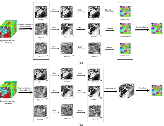 Fig. 1: Schematic of the proposed classification methods. (a) Parallel combination: E-ICA-RGF P 