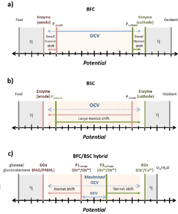 Figure  1. Schematic illustration of the redox potentials involved in a classical  BFC  (a), in  an intrinsic BSC (b)  and in the  proposed BFC/BSC  hybrid device  (c)