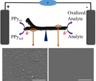 Figure  1:  (A)  Bipolar  electromechanical  set-up  to  measure  H 2 O 2  concentration in 0.1 M PBS buffer