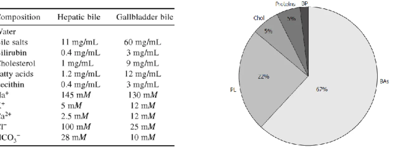 Tableau  I  et  Figure  4 :  Composition  générale  de  la  bile  hépatique  et  de  la  vésicule  biliaire  (Zakarias  Kristiansen,  Maitra  and  Pandey  2007)