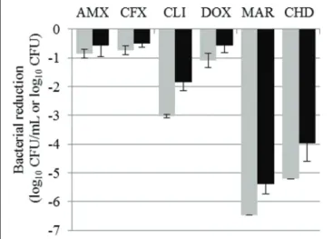 FIGURE 1 | Bacterial reductions (mean ± SD) of Staphylococcus aureus suspension (gray bars, in log 10 CFU/mL) and biofilm (black bars, in log 10 CFU) after 15-h exposure to amoxicillin (AMX), cefalexin (CFX), clindamycin (CLI), doxycycline (DOX), or marbof