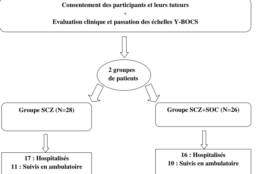 Figure 2 : Protocole de l’étude