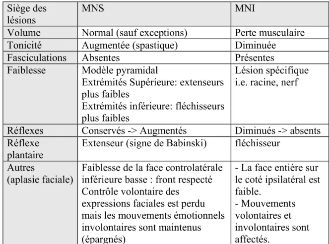 Tableau .2 Comparatif des signes cliniques des lésions du motoneurone selon le siège  de ces lésions [24]