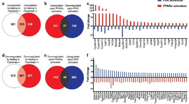 Figure  3.  Comparison  between  PXR  and  peroxisome  proliferator-activated  receptor  α  (PPARα)  target  genes