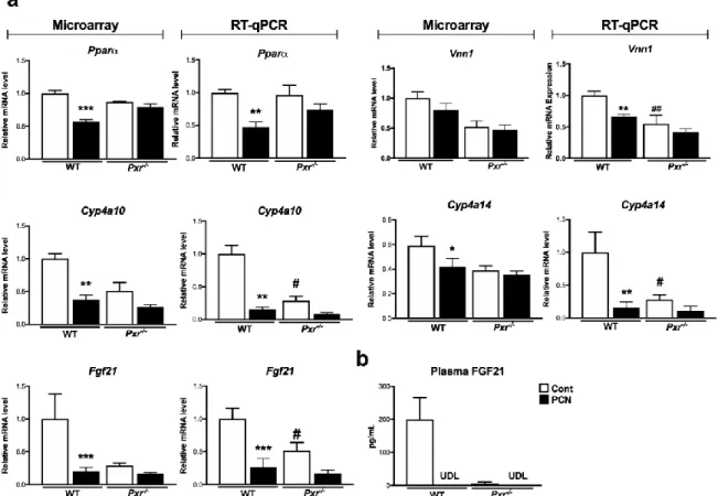 Figure  4.  Impact  of  PXR  activation  on  hepatic  PPARα  activity.  Gene  expression  in  the  liver  (a)  derived  from  the  microarray  and  from  complementary  qPCR  experiments