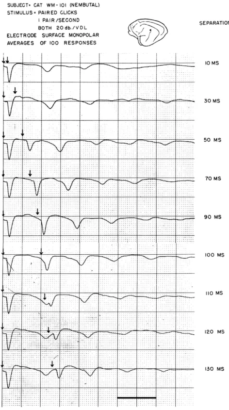 Fig.  XV-10.  Average  response  to  pairs  of  acoustic  clicks  as  a function  of  the  time  separation  between  the  clicks.