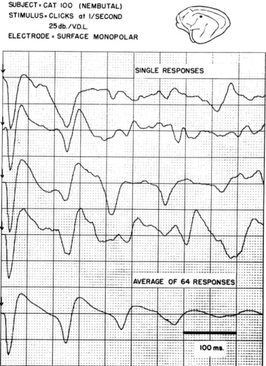 Fig.  XV-8.  Single  cortical  responses  and  average of  64  responses  to  acoustic  clicks.