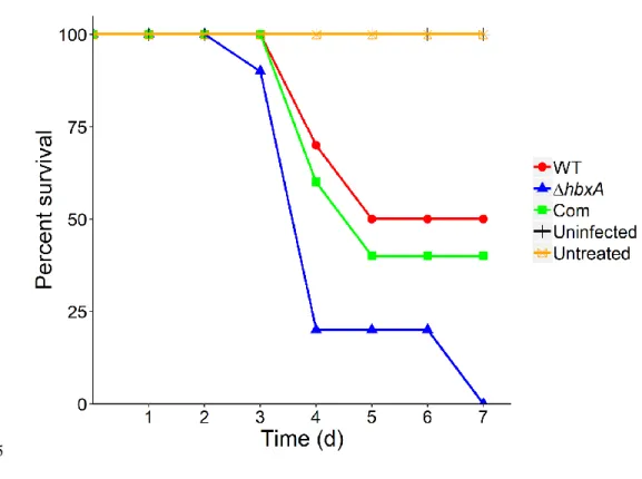 Figure 6 – hbxA negatively regulates virulence in a mouse model  566 