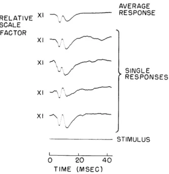 Fig.  XIV-3.  Single  responses  and  the  average  of  1024  responses  to click  stimuli  at  a  second  repetition  rate  of  Z00/sec