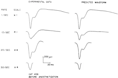 Fig.  XV-7.  Experimental  and  predicted  waveforms.  Experimental  conditions identical  with  those  for  the  left-hand  column  of  Fig