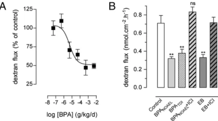 Fig. 2. Effects of BPA on TJ proteins and ER expression in OVX rats. (A) Repre- Repre-sentative Western blot lanes for occludin and JAM-A and corresponding  densi-tometric analysis of protein levels in the colon of rats fed with BPA at NOAEL, TDI, or vehic
