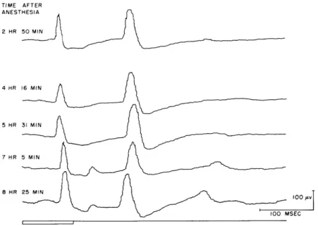 Fig.  XVIII-7. Evoked  cortical  potentials  from  visual  association  area  to  a  100-msec flash  of  low  intensity  at  various  times  following  administration  of  Dial and  urethane  anesthesia