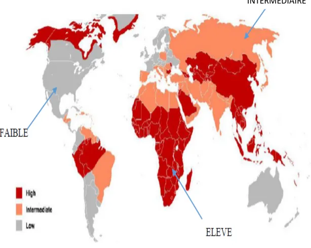 Figure 2:Répartition géographique du risque de contamination par l'hépatite B[27] 