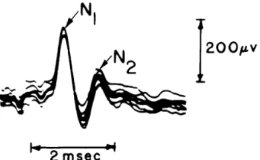 Fig.  XIX-1.  Peripheral  click  responses.  Oscilloscopic  traces  of  click responses  recorded  by  a  gross  electrode  near  the  round window  of  the  cochlea