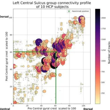 Fig.  4.  Discrete  and  structured  representation  of  group  connectivity  space  achieved  with  k-medoids,  k=5