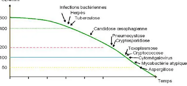 Figure 12: Différents types d’infections opportunistes en fonction du taux de CD4 [48]