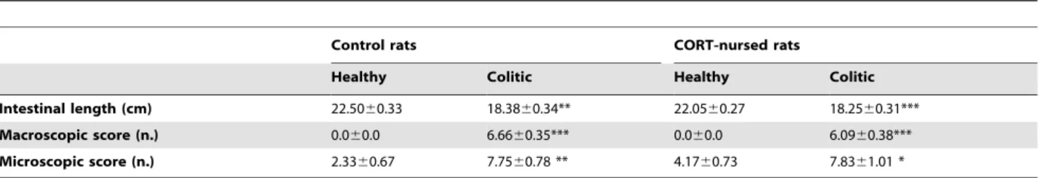 Figure 3. Effect of TNBS-colitis on plasma corticosterone and colonic mucosal GR expression