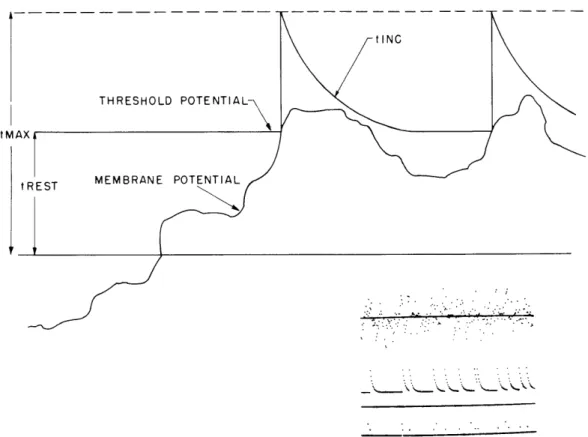 Fig.  XV-2.  Threshold  and  membrane  potential  of  the  model  neuron  as  a  function  of  time.