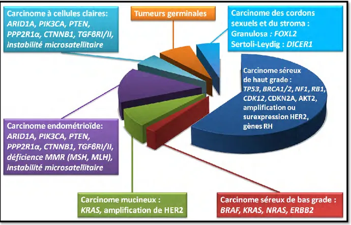 Figure 1 : Fréquences des tumeurs malignes selon leur type histologique et leurs anomalies génétiques associées 