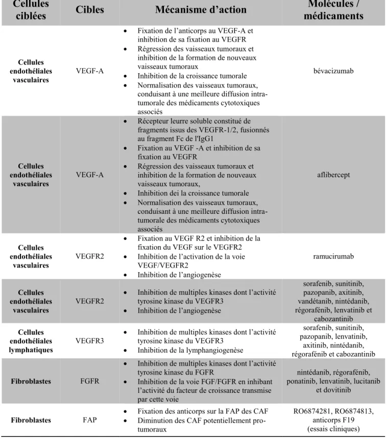 Tableau 7 : Molécules ciblant les cellules stromales non-immunitaires développées en oncologie 