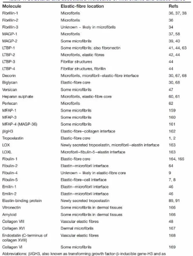 Tableau 1 : Principaux composants des microfibrilles et des fibres élastiques (Kielty, 2006).