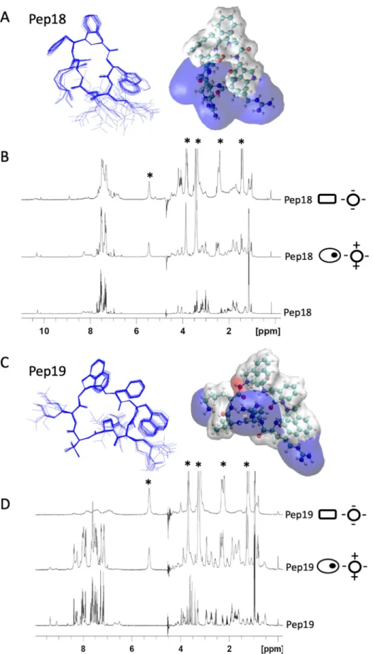 Fig 3. Three-dimensional structures of two pseudopeptides and their dynamics with eukaryotic and prokaryotic membrane mimics