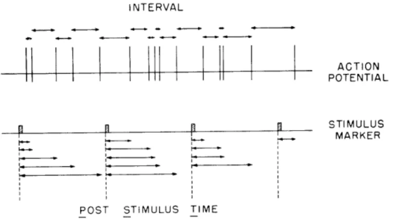 Fig.  XIII-1.  Diagram  of  the  measurements  involved  in  the  PST  histogram and  interval  histogram.