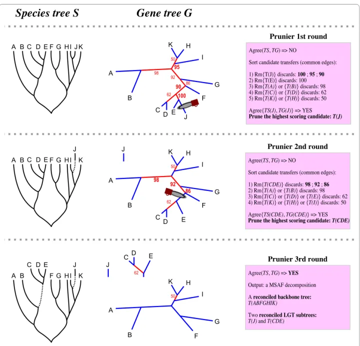 Figure 1 Prunier algorithm: example of a Prunier run. Example of reconciliation of an unrooted gene tree T G  with a rooted species tree T S  by  searching for the maximum statistical agreement forest (MSAF)