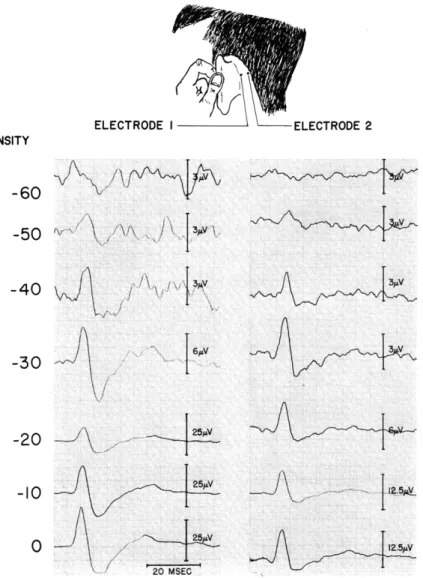 Fig.  XXIII-  1. Averaged  responses  to  clicks  for  two  electrode  locations  behind the  left  ear