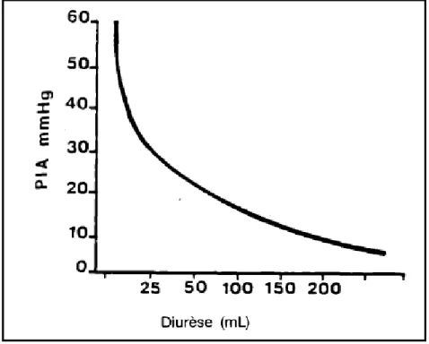 Figure 7: Relation entre la diurèse et la PIA [56] 