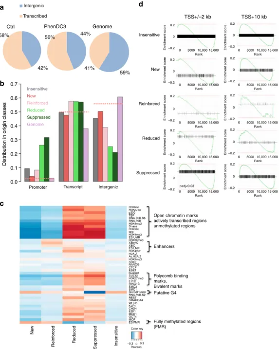 Fig. 5 Transcription and epigenetic landscape in the different origin classes. a Venn diagrams showing the origin distribution between transcribed and intergenic regions in Control and PhenDC3-treated mES cells, and random distribution (Genome)