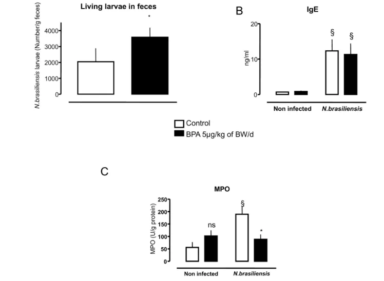 Figure 4. Effects of perinatal exposure to BPA (5 mg/kg of BW/d) on gut parasitic infection by Nippostrongylus brasiliensis (N