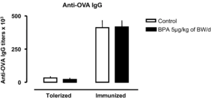 Figure 1. OVA-specific IgG titers in OVA-tolerized or OVA-immunized rats perinatally exposed or not to 5 mg/kg of BW/d of BPA