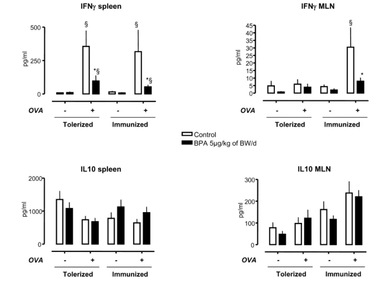 Figure 2. OVA-specific cytokine profile (IFNc and IL10) in cell culture supernatant of spleen and MLN cells of rats perinatally exposed to BPA (5 mg/kg of BW/d) or not (controls)