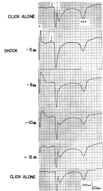 Fig.  XIX-4. Effect  of  shocks  of  different  strengths  on  a  subsequent  response to  clicks
