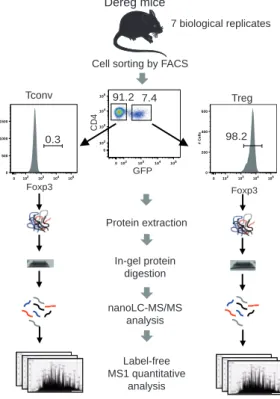 Figure 1: Label-free quantitative analysis of conventional and regulatory T cell proteomes