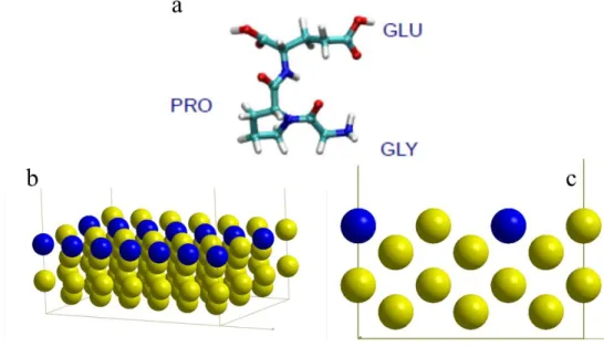 Figure 1. a. Schematic representation of the GLY-PRO-GLU  peptide, showing the 3 amino  acid residues