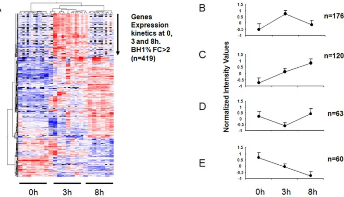 Table 3 presents a list of the most differentially-expressed genes between the lines at 8 hrs