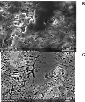 Figure 58 : Observation MEB d’une zone de  roche minérale selon 3 modes de détection à 