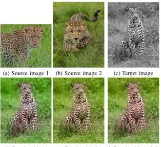 Figure 4 illustrates the influence of the source images.