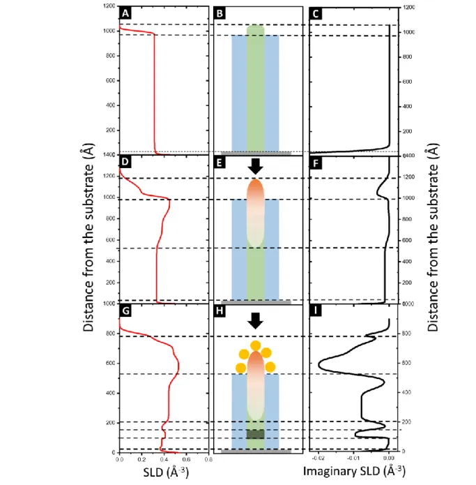 Figure  6.  SLD  profile  (left)  and  imaginary  SLD  profiles  (left:  Real  part;  right:  Imaginary  part)  obtained  after  fitting  the  experimental XRR data for: (A-C) neat BCP1 film, (D-F) BCP1 layer  impregnated with Al 2 O 3   and (H-J) bimetall