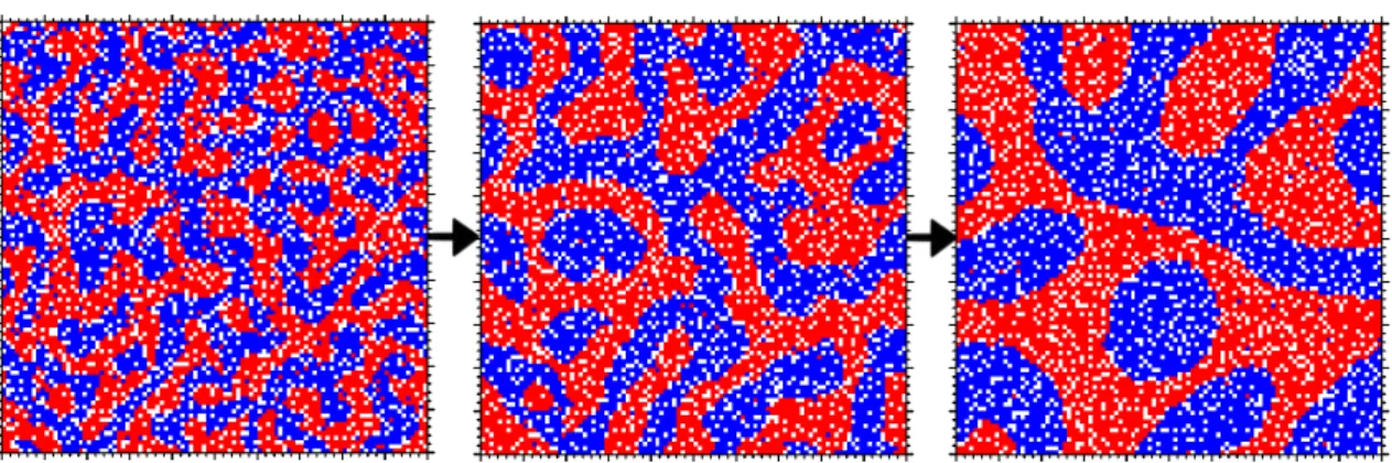 Figure 1.5: Un exemple d’ex´ ecution du mod` ele de S´ egr´ egation d´ efini par Schelling